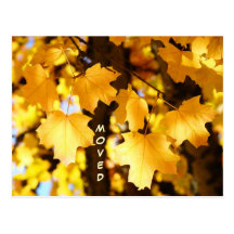 Moved Postcards custom Moving New Address Autumn