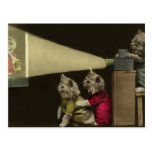 Movie Night Post Cards