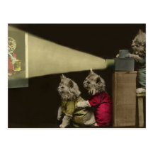 Movie Night Post Cards