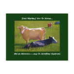 MOVING ANNOUNCEMENT: COWS/PASTURE/ART POST CARDS