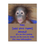 Moving Announcements Cute Face postcards