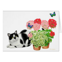 Moxie Cat and the Butterflies Card