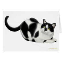 Moxie the Cat Card