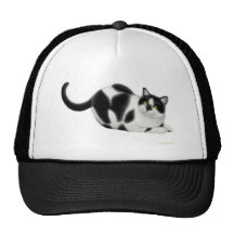 Moxie the Cat Hat