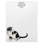 Moxie the Tuxedo Cat Letterhead