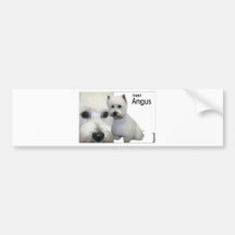 Mr Angus Bumper Sticker