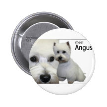 Mr Angus Pin