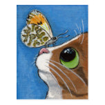 Mr Biggles and the Orange Tip - Cat Postcard