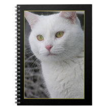 Mr. Cat Portrait Notebook