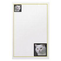 Mr. Cat Portrait Stationery