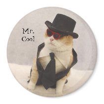 Mr. Cool
