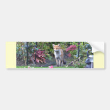 Mr Fox Bumper Sticker