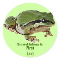 Mr. Froggie