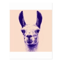 Mr Llama Post Card