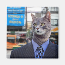 Mr. Miu Magnet