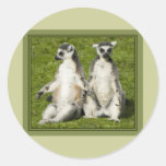 Mr & Mrs Lemur Sticker