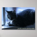 mr. oats on in window print