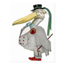 MR. PELICAN POST CARDS