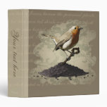 Mr. Robin Finds the Key, 1.5 inch binder