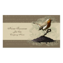 Mr. Robin Finds the Key, business card template