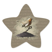 Mr. Robin Finds the Key, star stickers