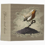 Mr. Robin Finds the Key, two inch binder