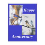 mr truman, mrs truman, Happy , Anniversary Post Card