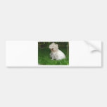 Mr. Wiggles Bumper Stickers