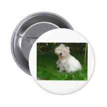 Mr. Wiggles Button