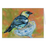 Mrs. Wilson's Warbler - bird on glass drinking Greeting Cards