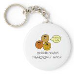MRSA keychains