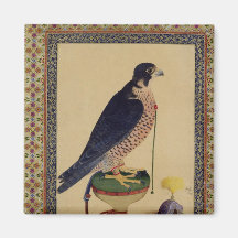Ms E-14 Falcon, from a Moraqqa Magnet