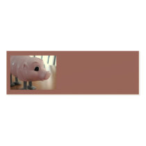 ms PIGGY skinny card!