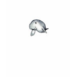 MT01 - Manatee Girl T01 / Chica Manati T01 t-shirts