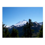 Mt Baker in Summer Postcards
