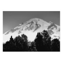 Mt. Baker Through Trees Business Card