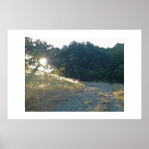 Mt. Burdell Open Space Poster