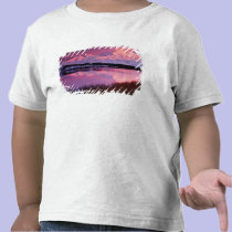 Mt. Denali at sunset from Reflection Pond t-shirts