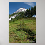 Mt. Hood Meadow Poster