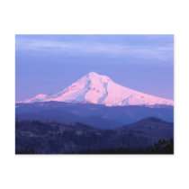 Mt. Hood Sunrise Postcard
