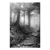 Mt. Leconte Photo Art