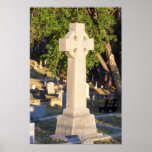 Mt. Mariah Cross Print