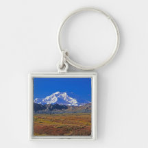 Mt . McKinley Denali National Park , Alaska. Key Chains