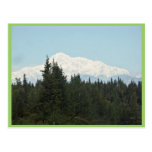 Mt. McKinley, Denali Postcards