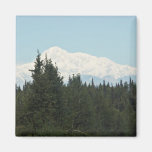 Mt. McKinley, Denali Refrigerator Magnet