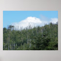 Mt. Mitchell II posters