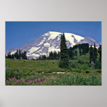 Mt. Rainer, Washington Red flowers Print