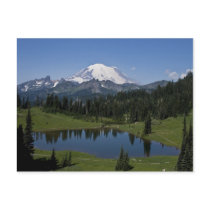 Mt. Rainier and Tipsoo Lake Postcard