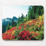 Mt. Rainier, Washington Mouse Mat