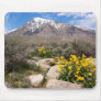Mt Tom and Wildflowers Mouse Pads